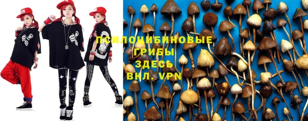 эйфоретик Богданович